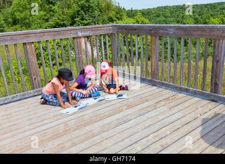 Tre bambini che giocano e su un field trip e day camp con i genitori e di un gruppo in un parco naturale di portelli di campo nella foresta. Foto Stock