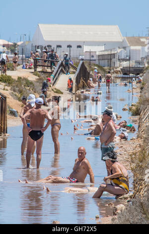 I bagnanti in terapeutica laguna di fango del Mar Menor a Lo Pagan in Murcia, Spagna Foto Stock