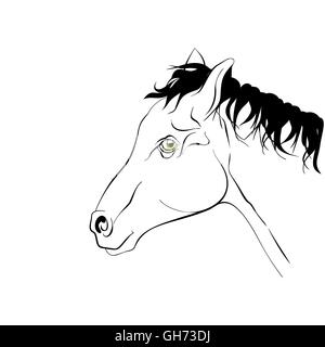 Elegante in bianco e nero silhouette a cavallo con realistica occhi verdi. Illustrazione Vettoriale