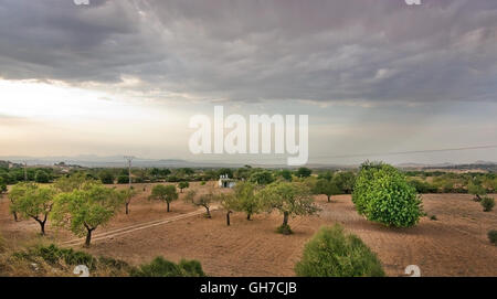 Paesaggio con alberi di mandorle, cloud con la pioggia e la terra rossa a Maiorca, isole Baleari, Spagna. Foto Stock