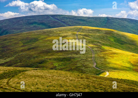 Strada tortuosa attraverso grandi prati sulla collina di Polonina mountain range Foto Stock