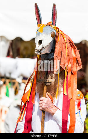 Inghilterra, Broadstairs Settimana della musica folk. Madcap Morris lato. Senior uomo barbuto che agisce come il Morris animale, tenendo il teschio di cavallo e nappe sul palo. Foto Stock