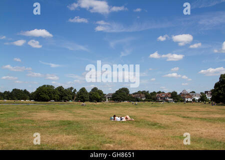 Londra, Regno Unito. Il 9 agosto 2016. Persone godetevi il sole su Wimbledon Common Credit: amer ghazzal/Alamy Live News Foto Stock