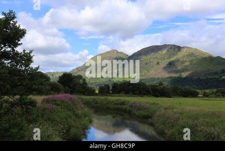 Dumyat Ochil Hills si riflette nel fiume Devon Clackmannanshire Scozia Luglio 2016 Foto Stock