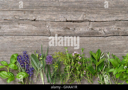 Le erbe fresche su sfondo di legno. Basilio, rosmarino, salvia, timo, menta, aneto, origano, maggiorana, saporito, lavanda Foto Stock