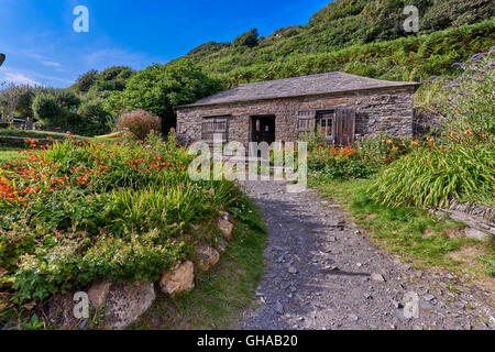 Boscastle è un villaggio ed un porto di pesca sulla costa nord della Cornovaglia, England, Regno Unito Foto Stock