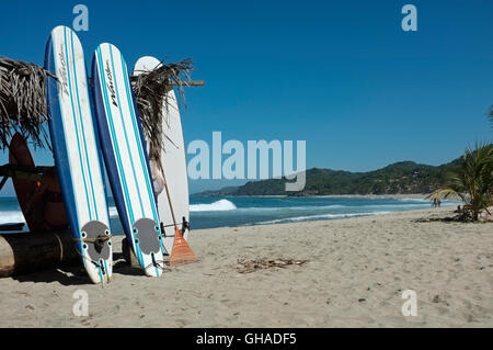 Tavole da surf a noleggio. Sayulita, Riviera Nayarit, Messico. Foto Stock