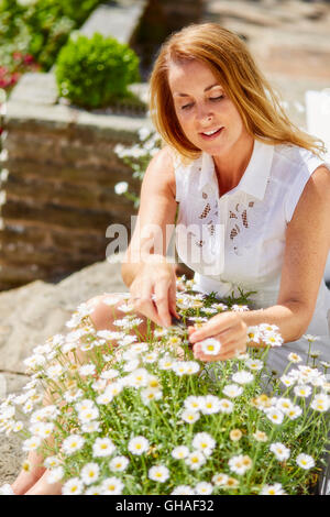 Donna di fiori di trimming all'aperto Foto Stock