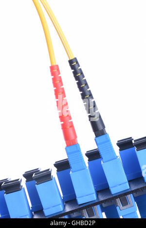 Fibra ottica cavo di rete con distribuzione ottica telaio isolato su sfondo bianco Foto Stock