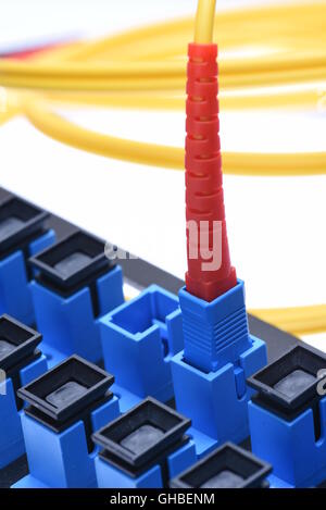 Fibra ottica cavo di rete con distribuzione ottica telaio isolato su sfondo bianco Foto Stock