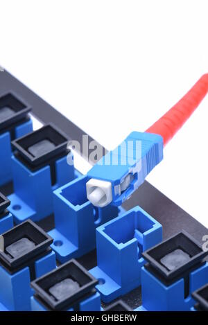 Fibra ottica cavo di rete con distribuzione ottica telaio isolato su sfondo bianco Foto Stock