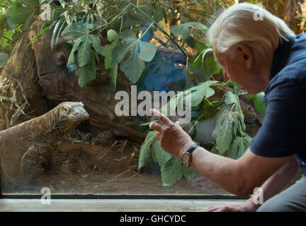 Sir David Attenborough con Ganas, un bambino di sei anni drago di Komodo, dopo ha ufficialmente rinominato il drago di Komodo involucro 'l'Attenborough Komodo dragon House' allo Zoo di Londra in Regent's Park di Londra. Foto Stock