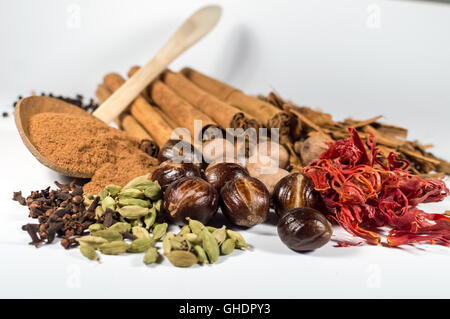 Cardamomo, chiodi di garofano e pepe nero, bianco pepe, cannella, potenza di cannella, noce moscata, macis Foto Stock