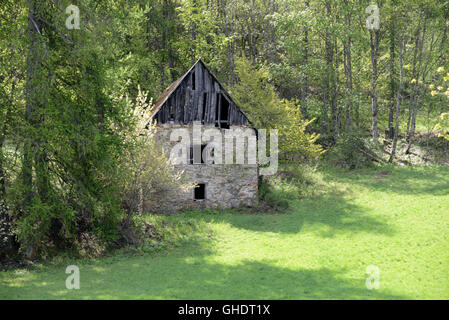 Rovinato o abbandonato la Pietra e Legname chalet alpino nella foresta vicino Colmars-les-Alpes sulle Alpi francesi Francia Foto Stock