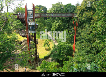 Xstrata Treetop marciapiede, Royal Botanic Gardens, Kew, London, England, Regno Unito Foto Stock