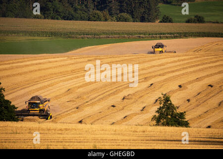 Giallo trebbiatrici mietitrebbia sul campo la mietitura del frumento in tempo soleggiato, Repubblica ceca, estate scena con linee di paglia con le ombre Foto Stock