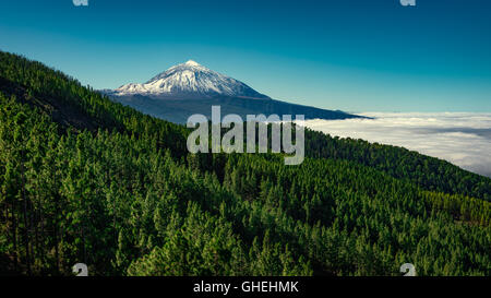 Foto Stock