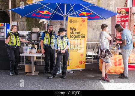 Leeds Gay Pride 2016, LGBT decimo anniversario di una celebrazione di amore, di comprensione, la tolleranza, il colore e la libertà. Foto Stock