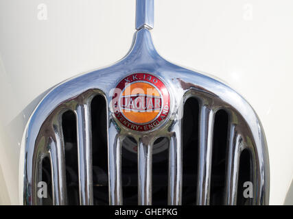 In prossimità della parte superiore del radiatore (con badge) di un classico della Jaguar XK140 auto Foto Stock