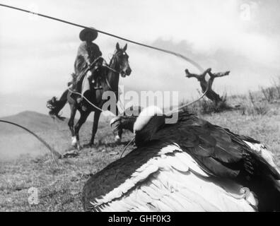 DAGLI Appennini alle Ande de los Apeninos a los Andes Italien/Argentinien 1960 Folco Quilici condor andino in una scena di ' Dagli Appennini alle Ande '. Regie: Folco Quilici aka. De los Apeninos a los Andes Foto Stock