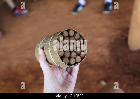 Mano che tiene un pacchetto di arrotolato a mano i sigari cubani, Viñales, Cuba. 2015. Foto Stock