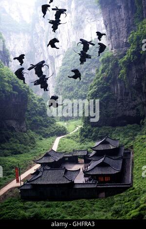 Der Fluch der goldenen Blume / guerrieri in azione Regie: Zhang Yimou aka. La maledizione del fiore d'Oro / Man cheng jin dai Huang jin jia Foto Stock