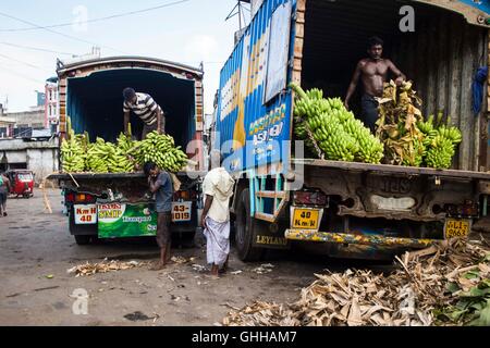 Colombo, Sri Lanka. Xv Apr, 2016. Gli uomini lo scarico delle banane da un camion all'Pettah Mercato nel centro di Colombo, Sri Lanka, il 15 aprile 2016. © Lindsey Leger/ZUMA filo/Alamy Live News Foto Stock