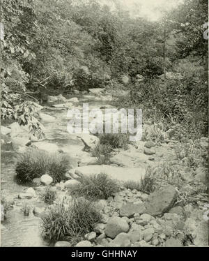 Il Catskill Mountains (1903) Foto Stock