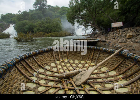 Coracles (tradizionale bambù round imbarcazioni,harigolu) visto a Shivanasamudra, Mandya distretto dello stato del Karnataka, India Foto Stock