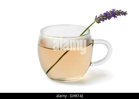 Bicchiere di vetro con lavanda tea su sfondo bianco Foto Stock