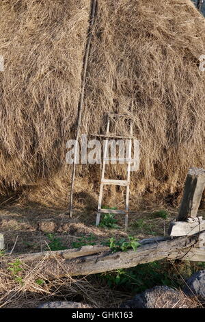 Haghpat nord Armenia stack di fieno con scala in legno alla luce della sera Foto Stock