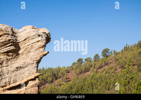 Paesaggio lunare zona vicino a Vilaflor in Tenerife, Isole Canarie, Spagna Foto Stock