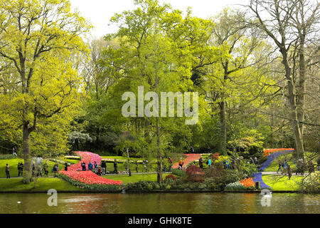 Fiori colorati e fiorisce in primavera olandese giardino Keukenhof Lisse che è il più grande del mondo di Flower Garden. Foto Stock