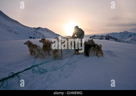 Eschimese con slitta e cani. La Groenlandia Foto Stock