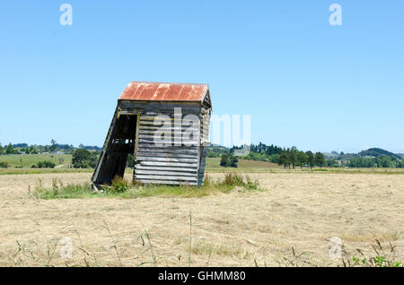 Capannone pendente in campo vicino Helensville, a nord di Auckland, Isola del nord, Nuova Zelanda Foto Stock