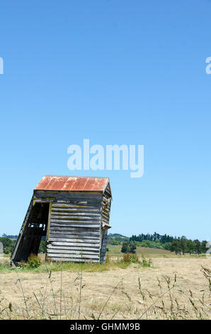 Capannone pendente in campo vicino Helensville, a nord di Auckland, Isola del nord, Nuova Zelanda Foto Stock