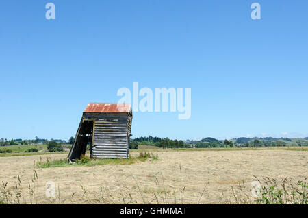 Capannone pendente in campo vicino Helensville, a nord di Auckland, Isola del nord, Nuova Zelanda Foto Stock