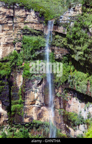 Vista del velo nuziale cade dal Govetts Leap Lookout Blackheath Blue Mountains NSW Australia Foto Stock