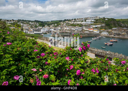 Guardando verso il basso sulla Mevagissey Harbour, Cornwall, England, Regno Unito Foto Stock