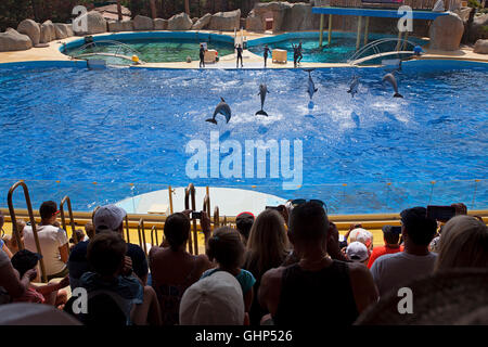 Marineland Antibes, Francia Foto Stock