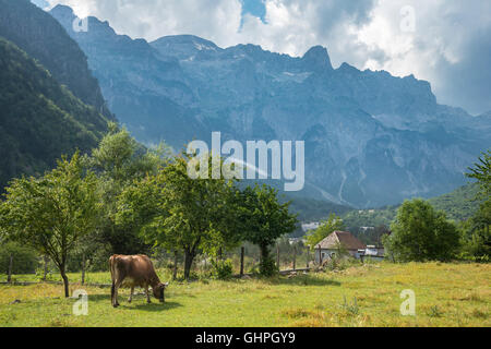Guardando attraverso il villaggio di Theth, con le Alpi Albanesi, Radohima massiccio in background, l'Albania settentrionale. Foto Stock