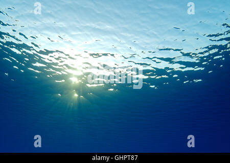 Acqua blu superficie da sott'acqua con raggi solari, Mar Rosso, Egitto, Africa Foto Stock