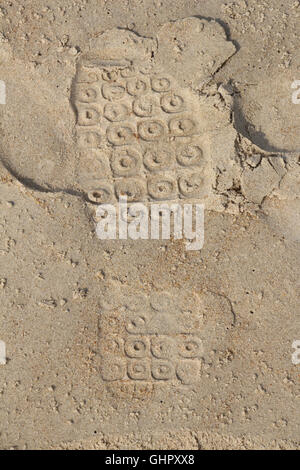 Ingombro con la sabbia, la prova imprint, India del sud, calzature, stampa stampa calzatura, traccia verticale, spiaggia passo Foto Stock