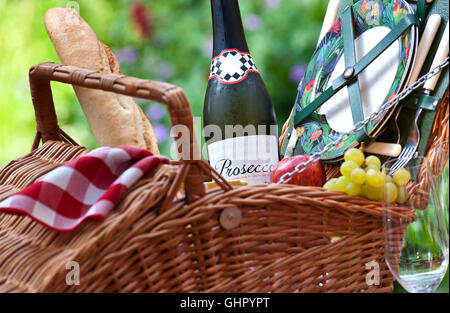 Vino Prosecco bottiglia e vimini cesto da picnic nel soleggiato giardino floreale situazione Foto Stock