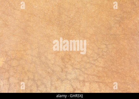 In pelle marrone texture dettagliate sullo sfondo Foto Stock