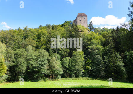 Rastenfeld: Rastenberg Castello, Austria, Niederösterreich, Bassa Austria, Waldviertel Foto Stock