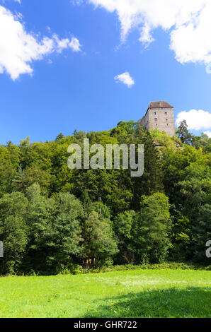 Rastenfeld: Rastenberg Castello, Austria, Niederösterreich, Bassa Austria, Waldviertel Foto Stock