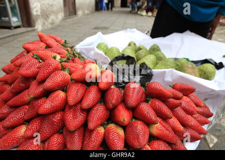 Appena raccolti, cresciuto in casa, fragole gigante sul lato della strada al di fuori Inmaculada Concepción, Cattedrale di Cuenca, Ecudaor Foto Stock