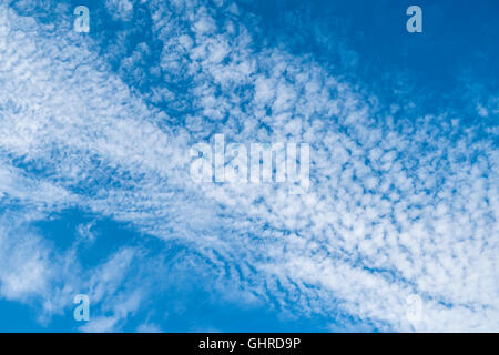 Il cielo blu con chiazze alta cirrocumulus nuvole - Francia. Foto Stock