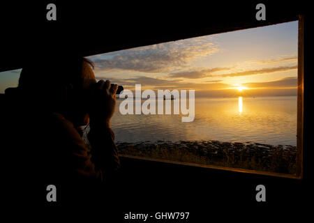 Estuario dello Swale, Kent, Regno Unito. 12th agosto 2016: Tempo britannico. Sunrise all'estuario di Swale mentre le chiatte del Tamigi iniziano a riunirsi per la partita di Smask e chiatta a vela 44th di Swale che si terrà il sabato. Un uomo usa binocoli da un uccello che guarda nascondiglio vicino alla riserva naturale delle paludi di Oare, guardando le barche e gli uccelli marini. Tempo secco e caldo è previsto per la prossima settimana credito: Alan Payton / Alamy Live News Foto Stock